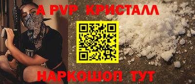 дмт Кингисепп