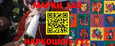 спайс Кинель