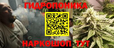 спайс Кинель