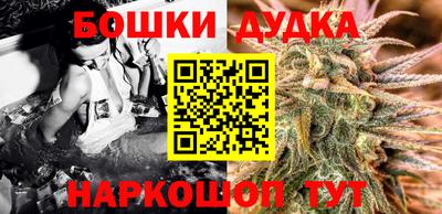 дмт Кингисепп