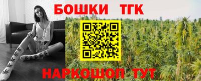 дмт Кингисепп