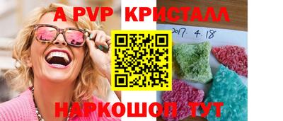 дмт Кингисепп