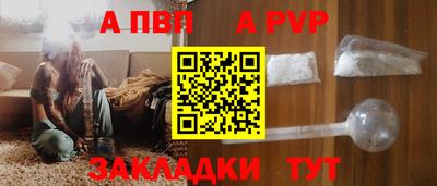 дмт Кингисепп