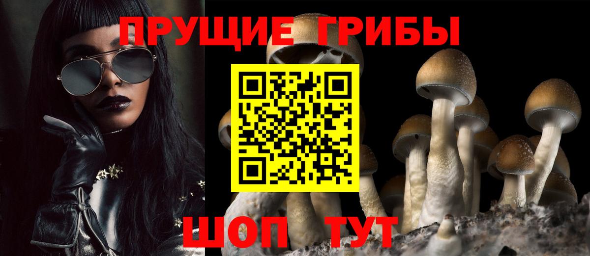Галлюциногенные грибы Magic Shrooms Лесозаводск